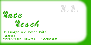 mate mesch business card